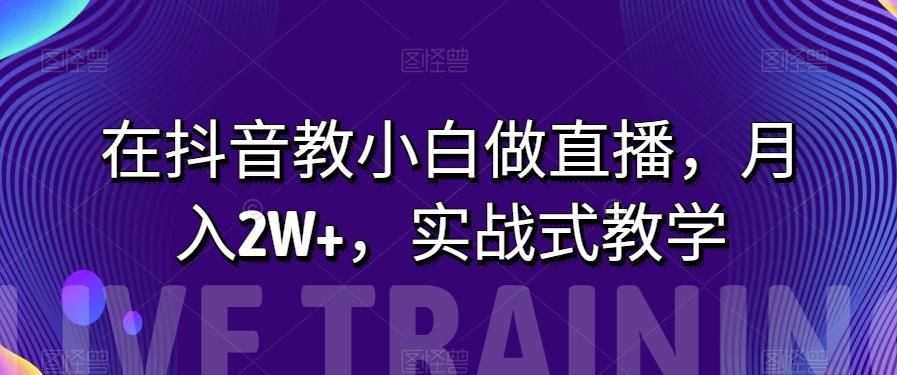 在抖音教小白做直播，月入2W+，实战式教学【揭秘】-康仁安资源