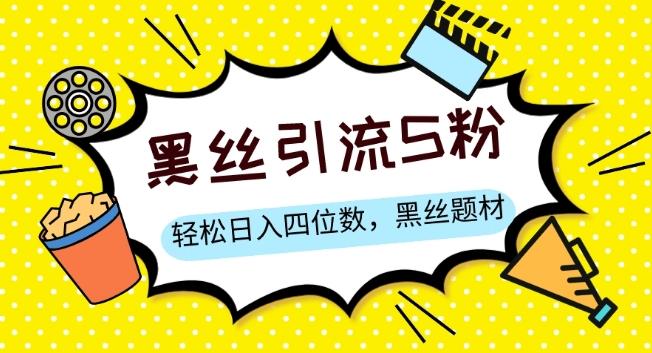S粉变现，轻松日入四位数，黑丝题材+情感话术【揭秘】-康仁安资源