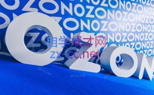 森哥·出海俄罗斯电商实操(2024)-康仁安资源