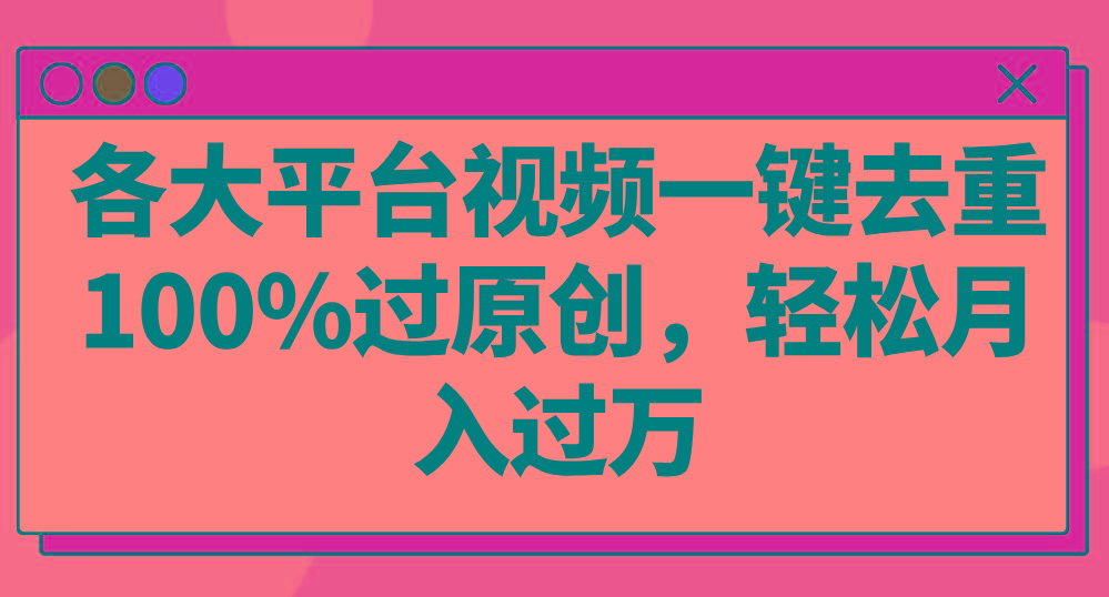 各大平台视频一键去重，100%过原创，轻松月入过万！-康仁安资源