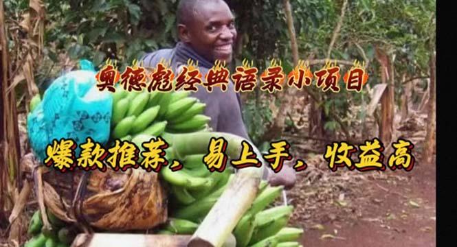奥德彪经典语录小项目，爆款推荐，易上手，收益高-康仁安资源