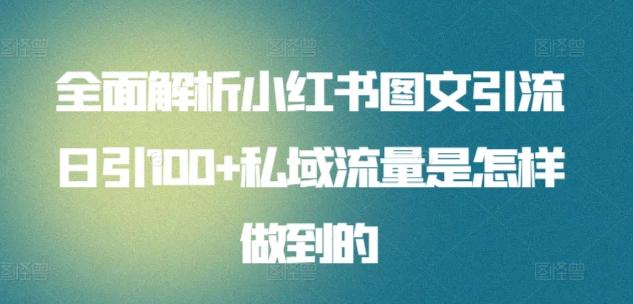 全面解析小红书图文引流日引100+私域流量是怎样做到的【揭秘】-康仁安资源