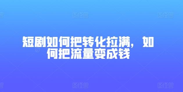 短剧如何把转化拉满，如何把流量变成钱-康仁安资源