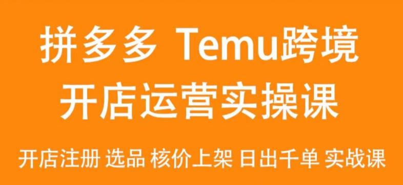 2024Temu最新玩法，Temu跨境开店运营实操课，开店注册/选品/核价上架/日出千单实战课-康仁安资源
