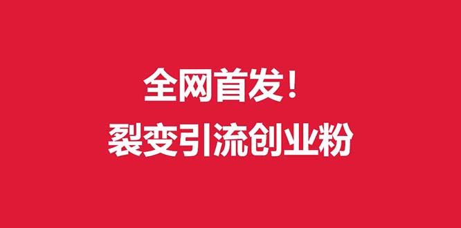 (全网首发)外面收费几千的裂变引流高质量创业粉-康仁安资源