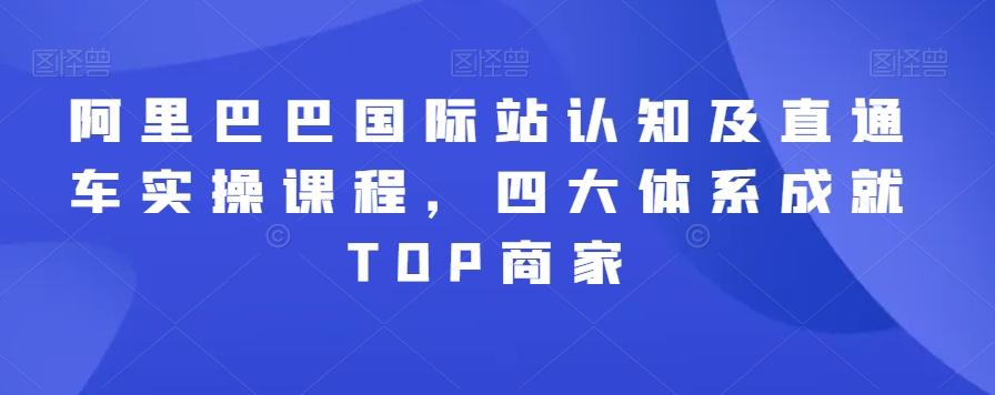 阿里巴巴国际站认知及直通车实操课程，四大体系成就TOP商家-康仁安资源