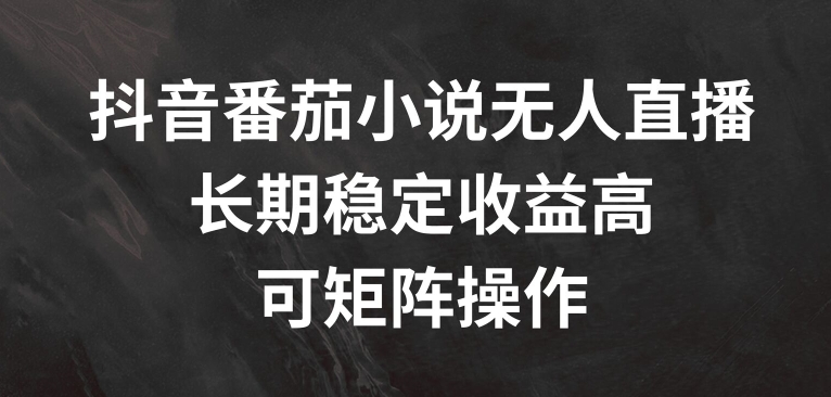 抖音番茄小说无人直播，长期稳定收益高，可矩阵操作【揭秘】-康仁安资源