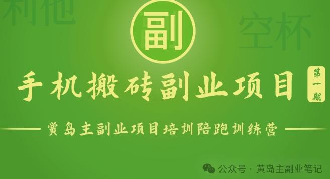 手机搬砖小副业项目训练营1.0，实测1小时收益50+，一部手机轻松日入100+-康仁安资源