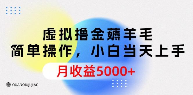 (9864期)虚拟撸金薅羊毛，简单操作，小白当天上手，月收益5000+-康仁安资源