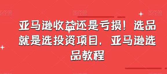 亚马逊收益还是亏损！选品就是选投资项目，亚马逊选品教程-康仁安资源