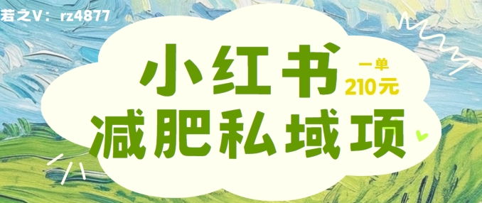 小红书减肥粉，私域变现项目，一单就达210元，小白也能轻松上手【揭秘】-康仁安资源
