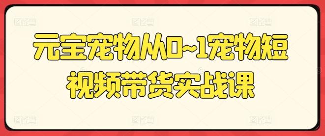 元宝宠物从0~1宠物短视频带货实战课-康仁安资源