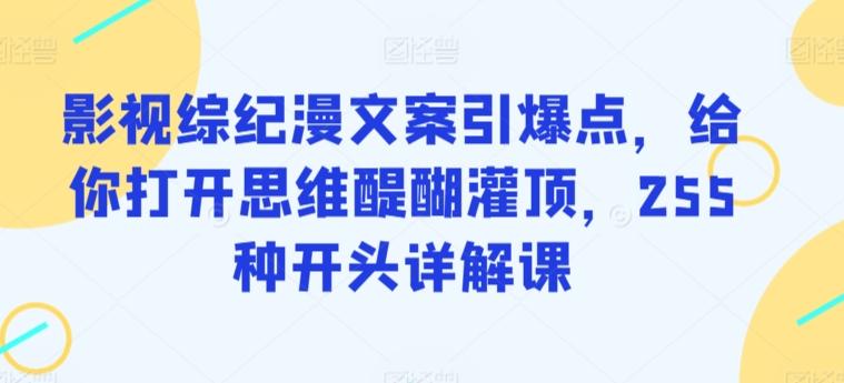 影视综纪漫文案引爆点，给你打开思维醍醐灌顶，255种开头详解课-康仁安资源