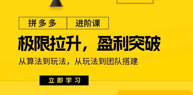 拼多多·进阶课：极限拉升/盈利突破：从算法到玩法 从玩法到团队搭建-18节-康仁安资源