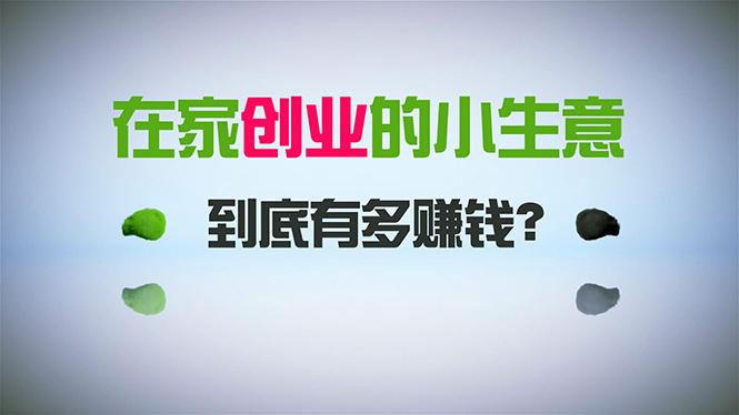 在家创业，日引300+创业粉，一年收入30万，闷声发财的小生意，比打工强-康仁安资源