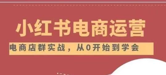 小红书店铺运营从小白到大神2.0，从入门到精通-康仁安资源