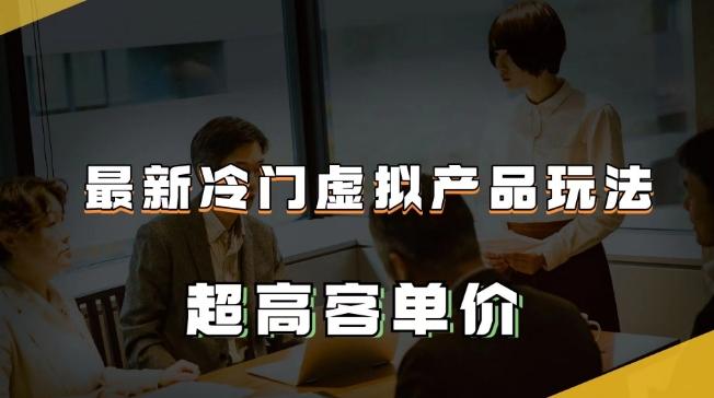 最新冷门虚拟产品玩法，超高客单价，月入2-3万＋【揭秘】-康仁安资源