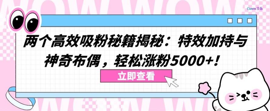 两个高效吸粉秘籍揭秘：特效加持与神奇布偶，轻松涨粉5000+【揭秘】-康仁安资源