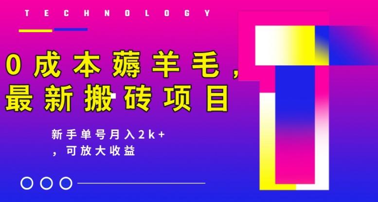 0成本薅羊毛，最新搬砖项目，新手单号月入2k+，可放大操作-康仁安资源