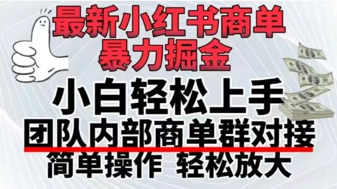 最新小红书商单，暴力掘金，单月稳定变现3W+-康仁安资源