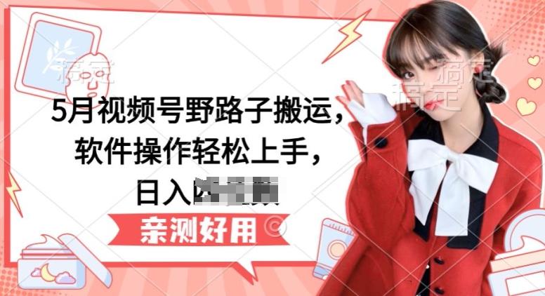5月视频号野路子搬运，软件操作轻松上手，日入三位数【揭秘】-康仁安资源