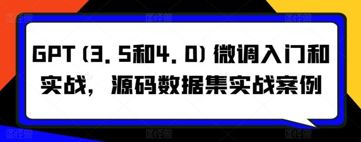 GPT(3.5和4.0)微调入门和实战，源码数据集实战案例-康仁安资源