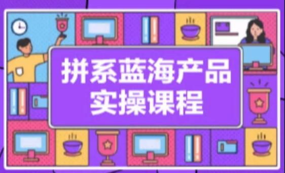 拼系冷门蓝海产品实操课程，从注册店铺到选品上架到流量维护环环相扣-康仁安资源