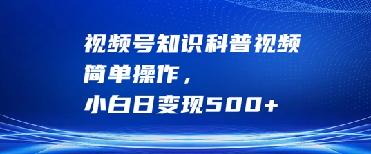 视频号知识科普视频，简单操作，小白日变现500+【揭秘】-康仁安资源