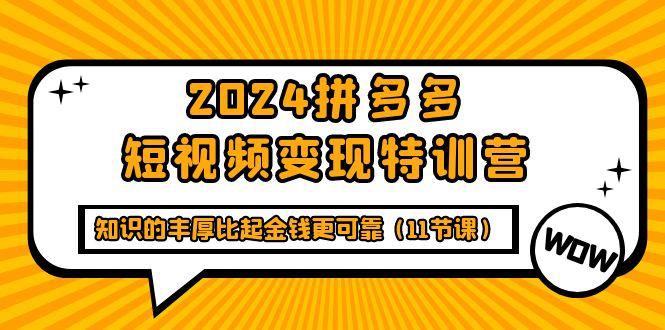 (9817期)2024拼多多短视频变现特训营，知识的丰厚比起金钱更可靠(11节课)-康仁安资源
