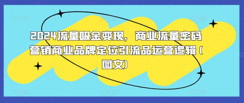 2024流量吸金变现，商业流量密码营销商业品牌定位引流品运营逻辑(图文)-康仁安资源
