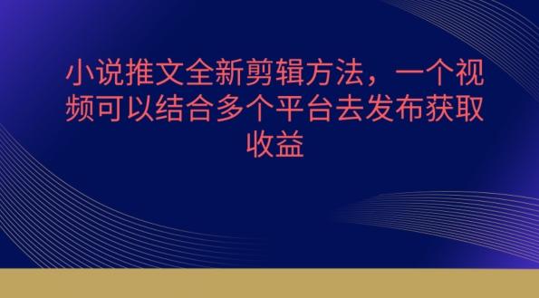 小说推文全新剪辑方法，一个视频可以结合多个平台去发布获取【揭秘】-康仁安资源