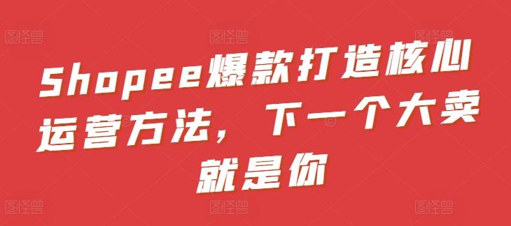 Shopee爆款打造核心运营方法，下一个大卖就是你-康仁安资源