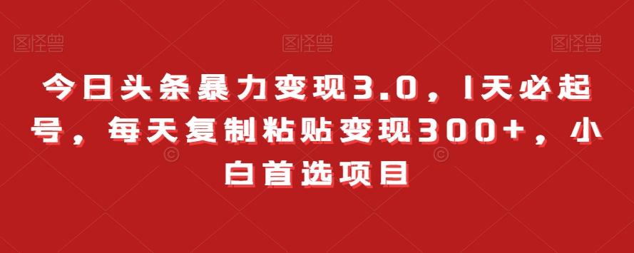 今日头条暴力变现3.0，1天必起号，每天复制粘贴变现300+，小白首选项目-康仁安资源