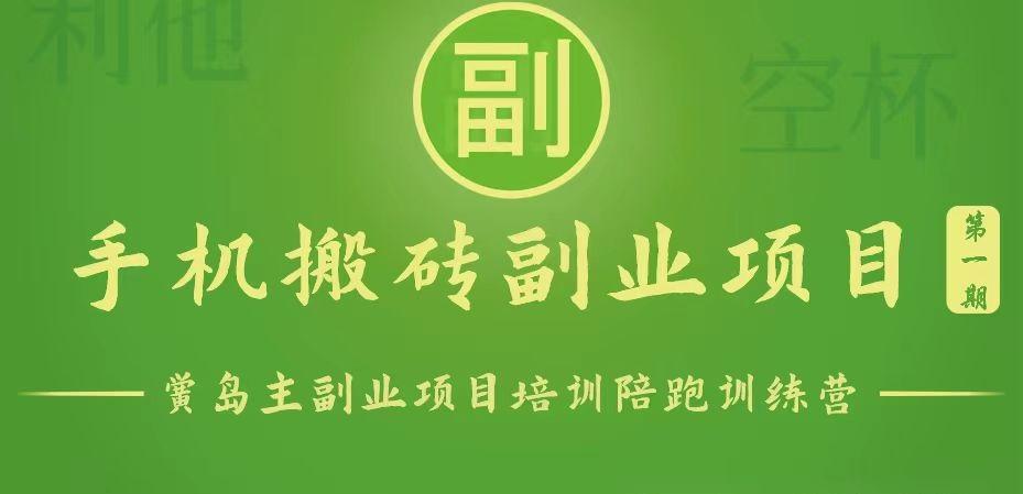 手机搬砖小副业项目训练营1.0，能用手机做的简单小副业-康仁安资源