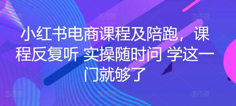 小红书电商课程及陪跑，课程反复听 实操随时问 学这一门就够了-康仁安资源
