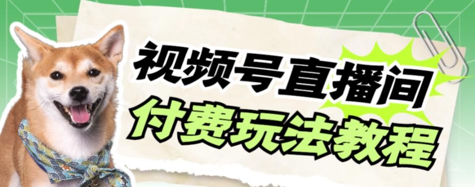 视频号美女付费无人直播，轻松日入500+【详细玩法教程】-康仁安资源