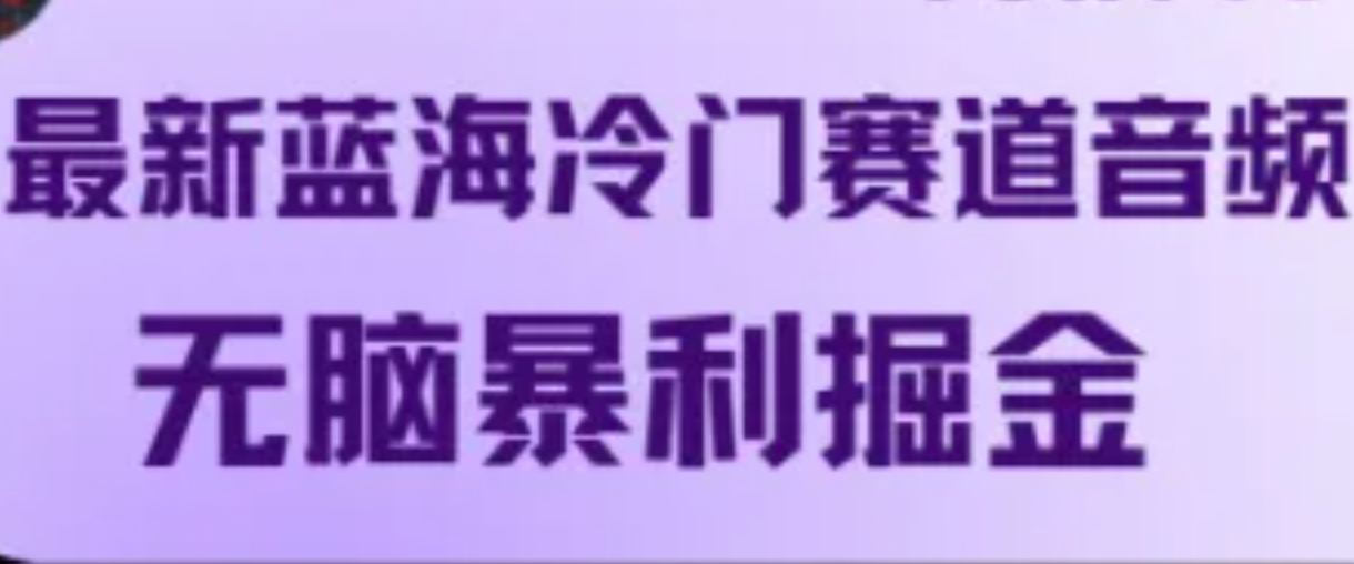 最新蓝海冷门赛道音频，无脑暴利掘金-康仁安资源