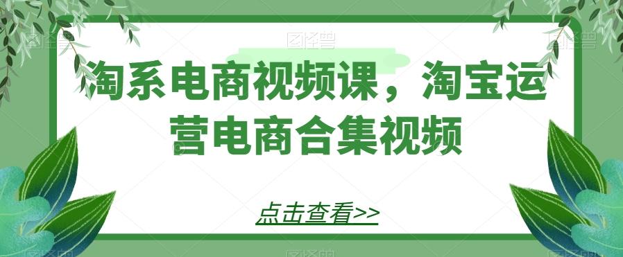淘系电商视频课，淘宝运营电商合集视频-康仁安资源