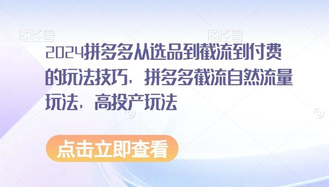 2024拼多多从选品到截流到付费的玩法技巧，拼多多截流自然流量玩法，高投产玩法-康仁安资源