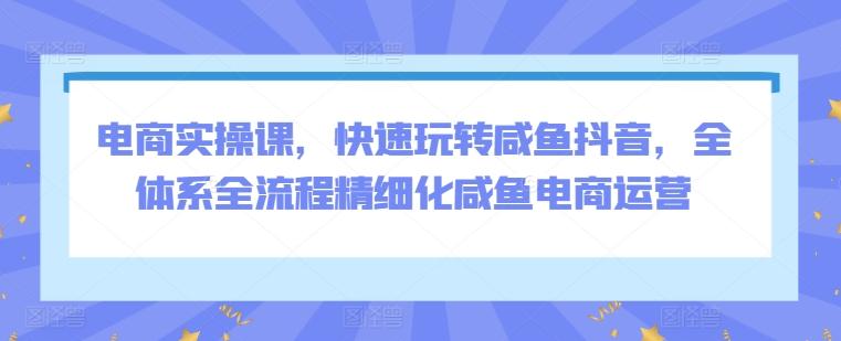 电商实操课，快速玩转咸鱼抖音，全体系全流程精细化咸鱼电商运营-康仁安资源