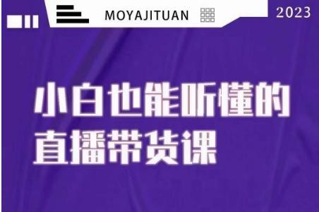 大威本威·能听懂的直播带货课，小白也能听懂，20节完整-康仁安资源
