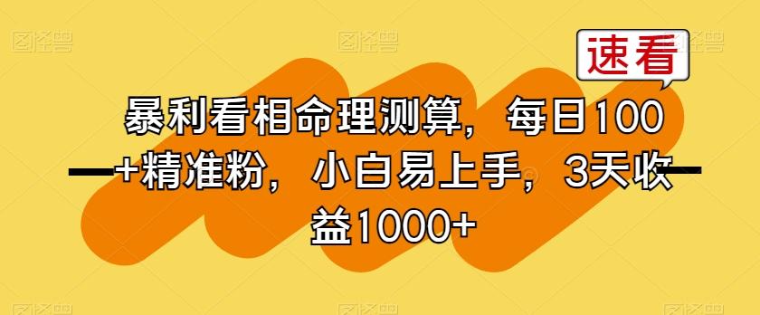 暴利看相命理测算，每日100+精准粉，小白易上手，3天收益1000+【揭秘】-康仁安资源