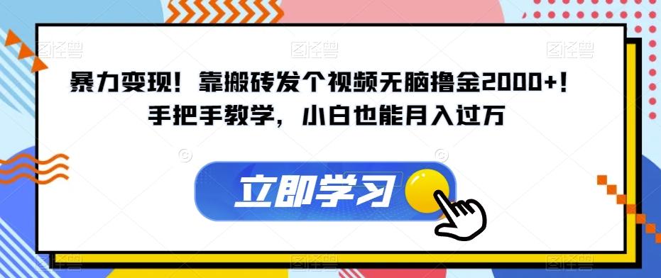 暴力变现！靠搬砖发个视频无脑撸金2000+！手把手教学，小白也能月入过万【揭秘】-康仁安资源