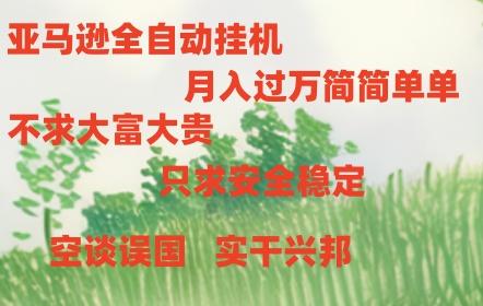 亚马逊全自动浏览挂机，，收益稳定且前景广阔-康仁安资源