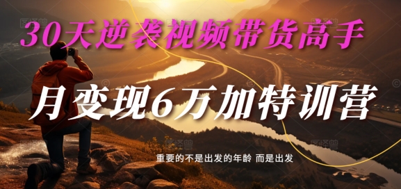 30天逆袭视频带货高手，单月变现6万加特训营-麦子甜-康仁安资源