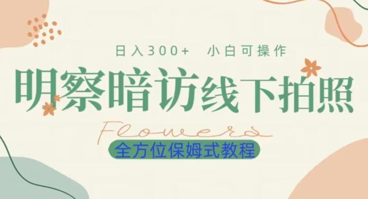 明拍暗拍项目0成本投入日入300+小白可操作保姆式全方位教程-康仁安资源