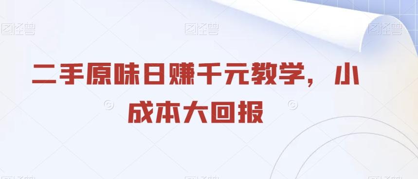 二手原味日赚千元教学，小成本大回报-康仁安资源