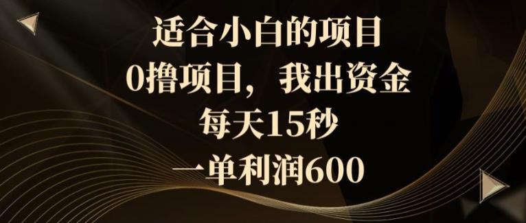 适合小白的项目，0撸项目，我出资金，每天15秒，一单利润600-康仁安资源