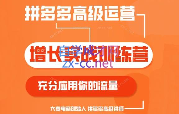 大麦老师·拼多多单品爆款打造课程(更新6月)-康仁安资源