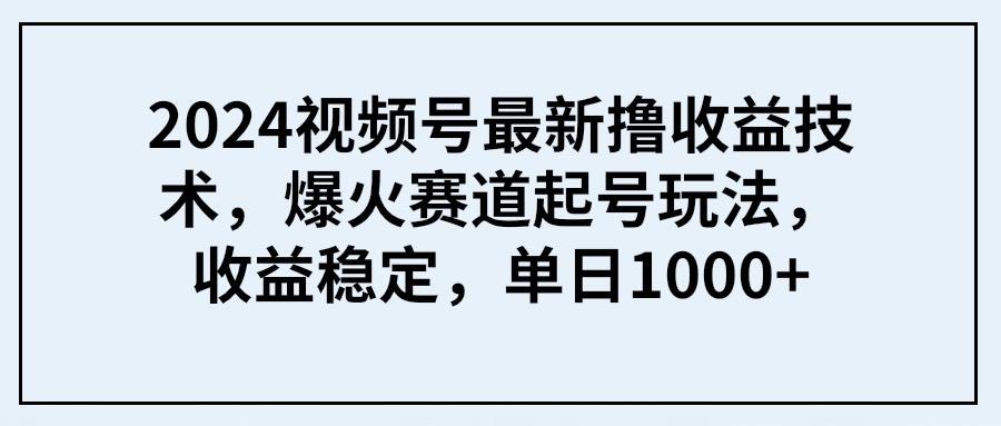 (9651期) 2024视频号最新撸收益技术，爆火赛道起号玩法，收益稳定，单日1000+-康仁安资源